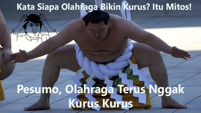 Foto Lucu dan Aneh Sumo Gendut