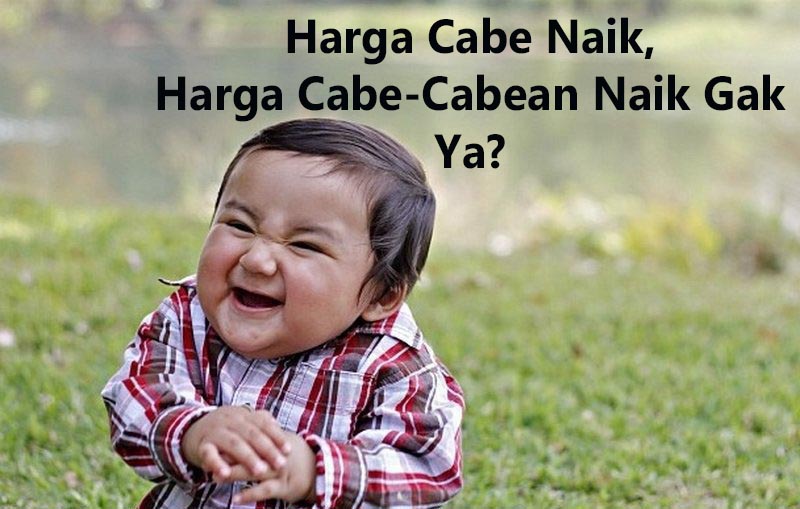 Foto Lucu Indonesia Harga Cabe