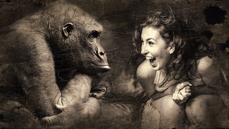 Kumpulan Gambar Lucu Banget - Gorilla & Manusia