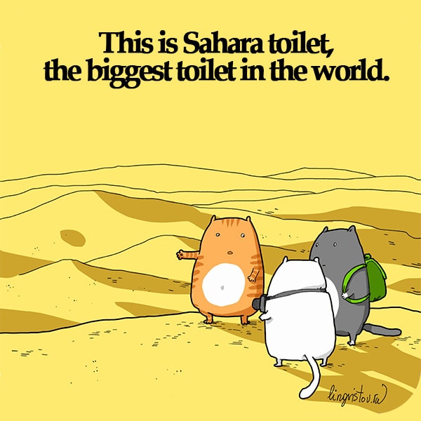 Gambar Gambar Kucing Lucu - Toilet