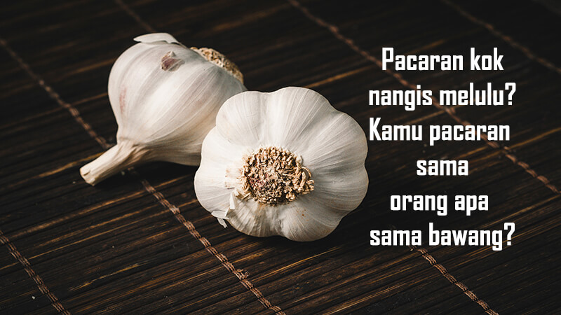 Kata kata bijak cinta lucu - Kutipan bawang